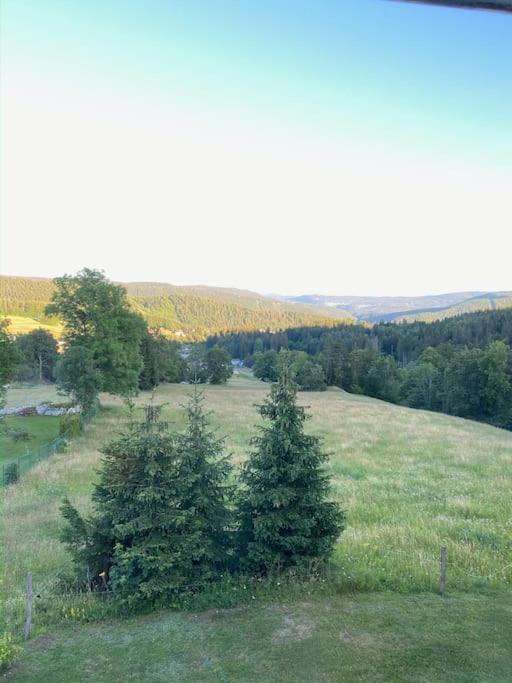 Appartement Lumineux Avec Vue Sur Les Montagnes Морбье Экстерьер фото