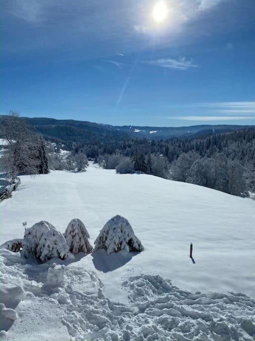 Appartement Lumineux Avec Vue Sur Les Montagnes Морбье Экстерьер фото