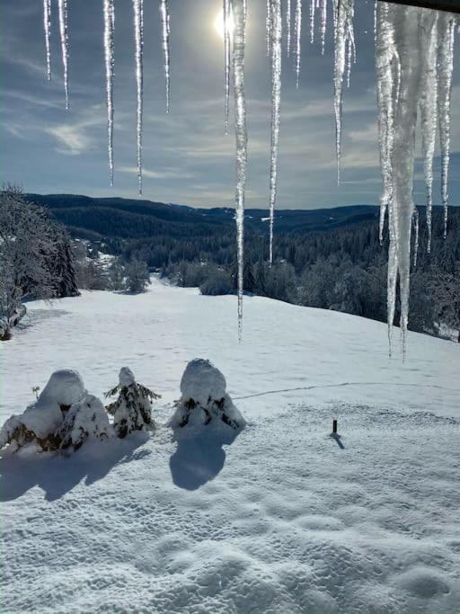 Appartement Lumineux Avec Vue Sur Les Montagnes Морбье Экстерьер фото